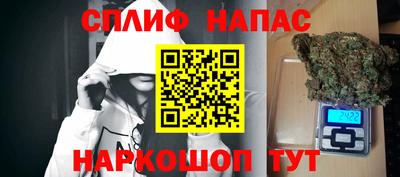 крисы Кудымкар