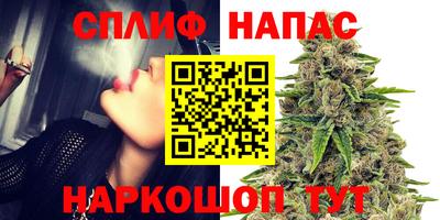 ГАЛЛЮЦИНОГЕННЫЕ ГРИБЫ Кудрово