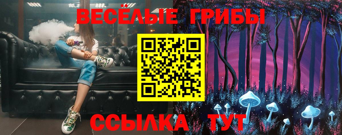 Псилоцибиновые грибы Magic Shrooms  Вход с VPN  наркотики  Белогорск  Псилоцибиновые грибы GOLDEN TEACHER 